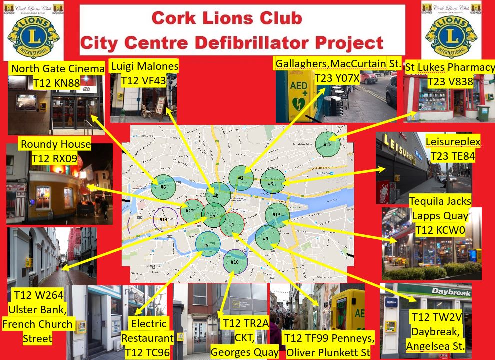 cork lions club cork charity part of international Lions club District